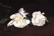 Edouard Manet Branch of White Peonies and Shears Norge oil painting reproduction